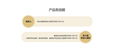 全面解析中国版权登记 流程、费用与专业代理服务指南